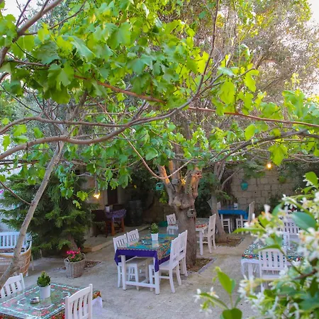 Kavalali 알라카티