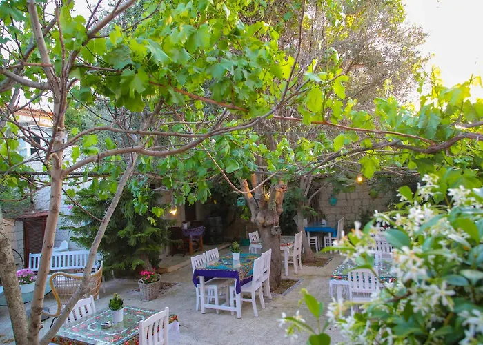 Kavalali 알라카티